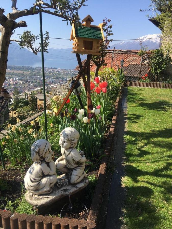 Panoramic Orselina Daire Dış mekan fotoğraf
