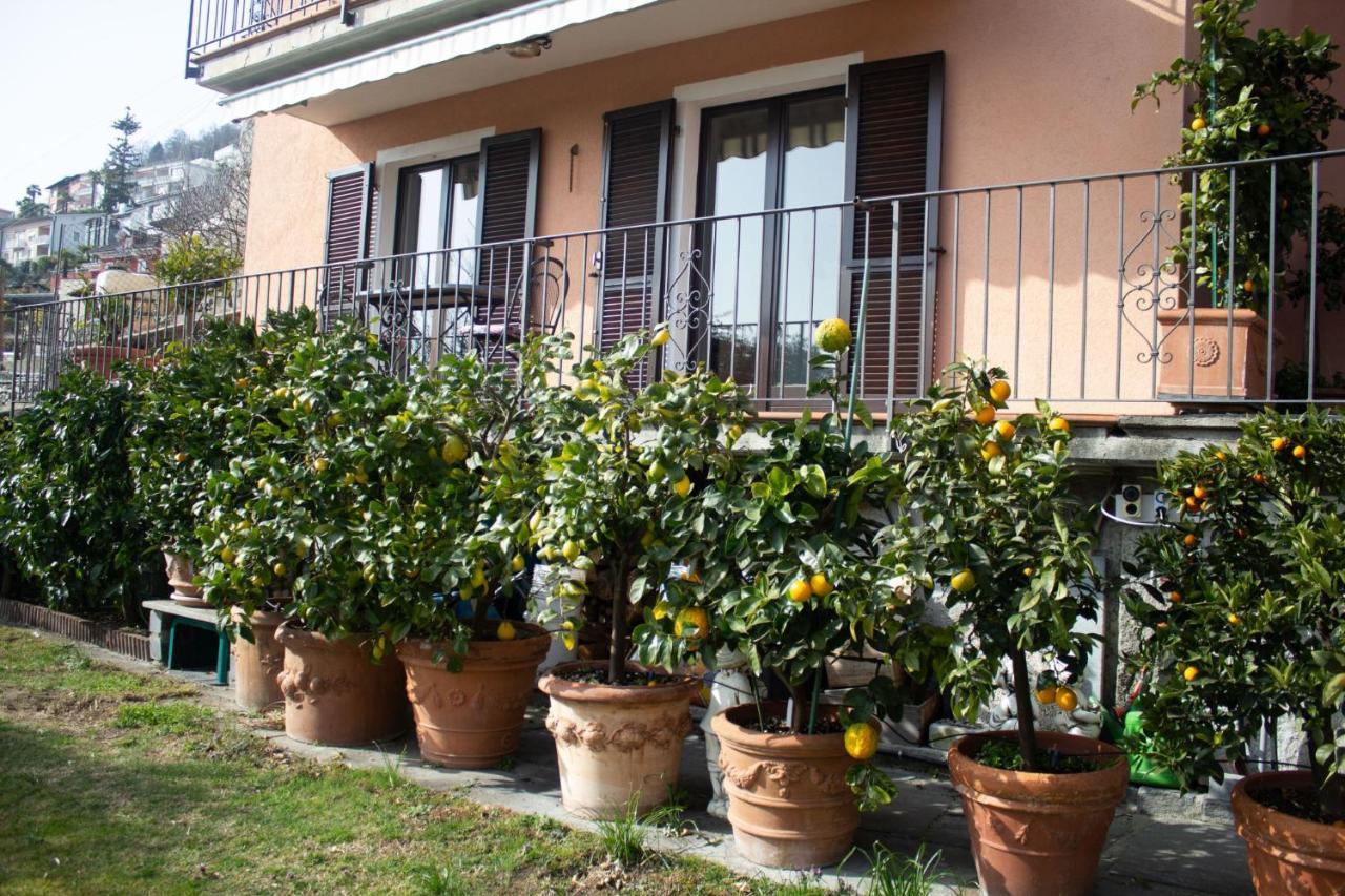 Panoramic Orselina Daire Dış mekan fotoğraf